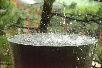 DSC_3198 (Large).JPG